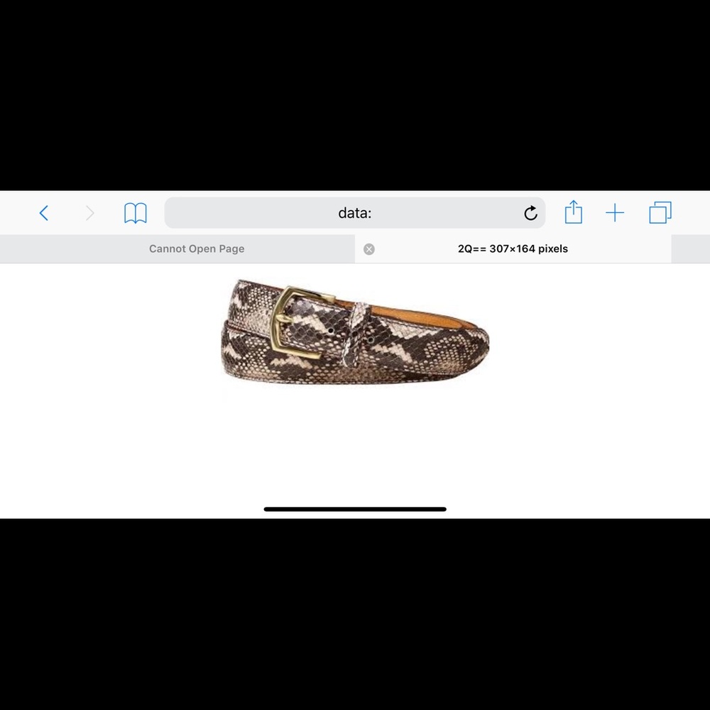 Supreme snakeskin belt